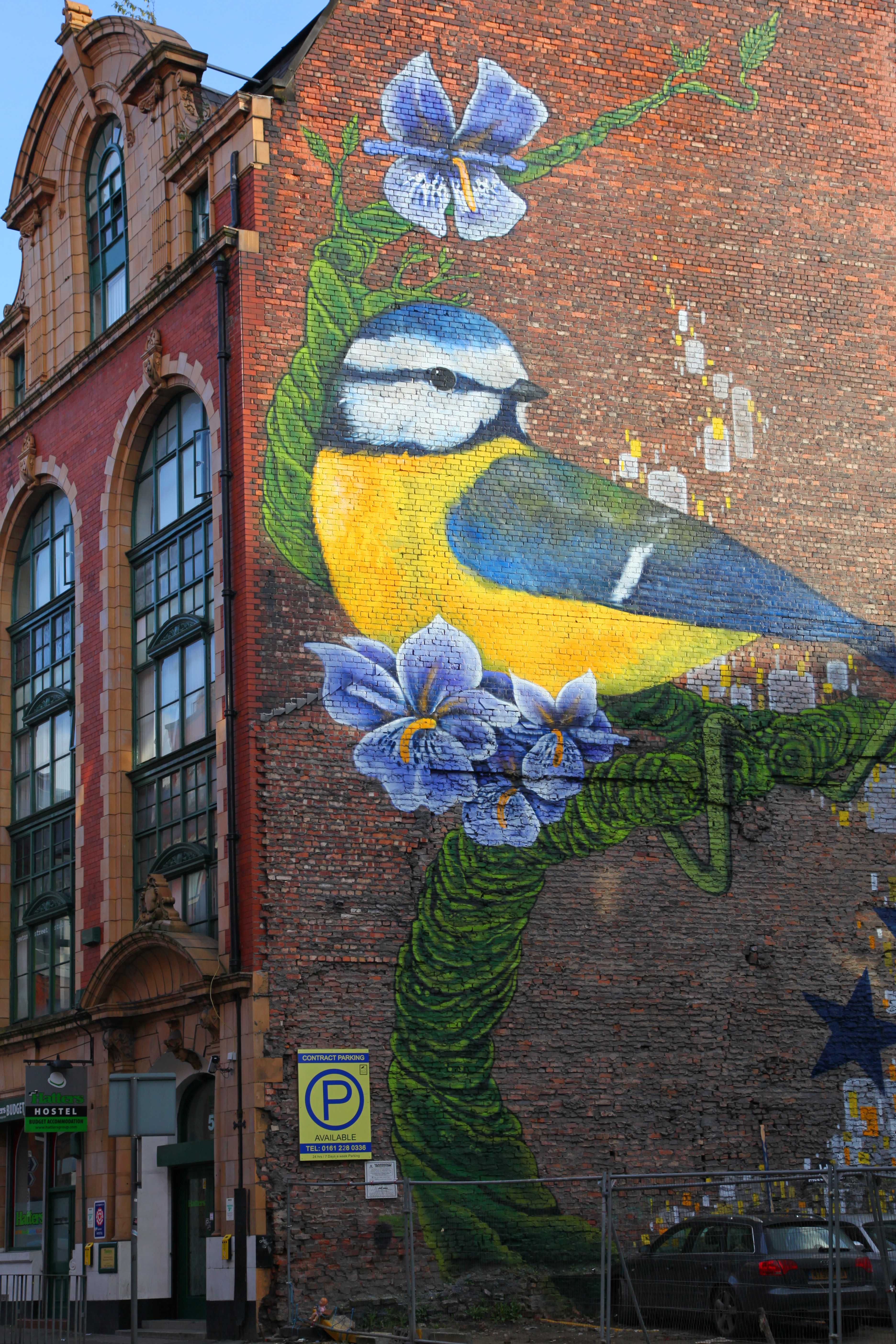 Wall art in Manchester